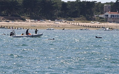 Ile de Noirmoutier, passage du Gois, piscine intérieure villa du pey blanc - à 20 minutes