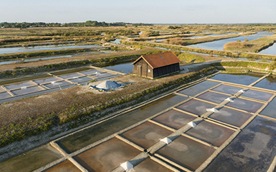 Marais salants de la Vie, proche villa piscine intérieure st jean de monts